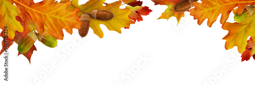 Red autumn leaves and acorn...