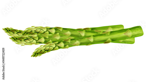 asparagus on a white background