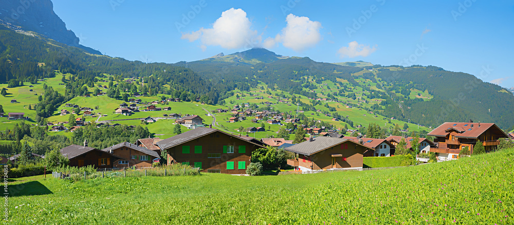 Grindelwald village with traditional chalets at the green slope, Mannlichen mountain, switzerland