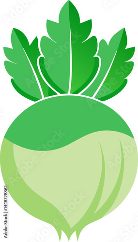 Kohlrabi icon on white background