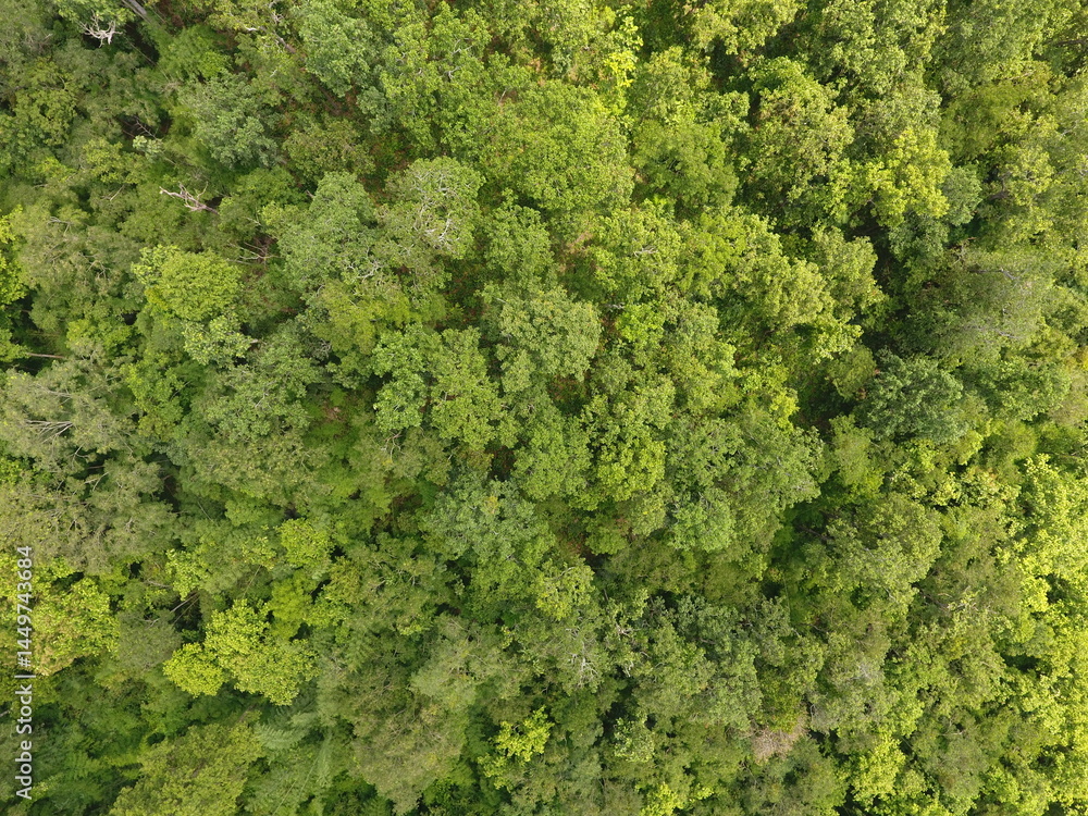 Top View Aerial Photograph Top View Aerial Photograph