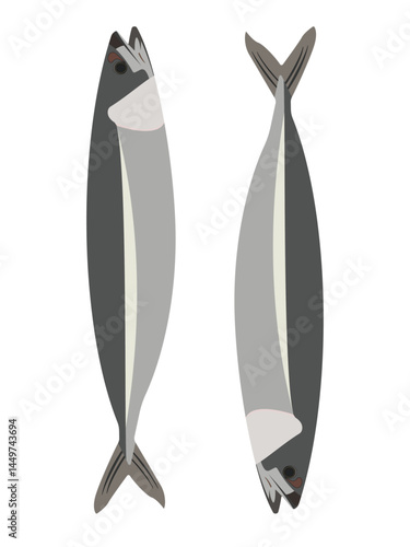 Illustration of two fish, one showing side view and the other top view, isolated