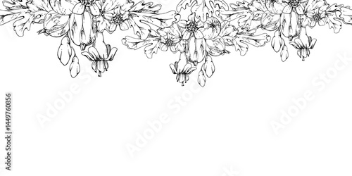 Gooseberry Currant berry, bell flower buds, leaves boutonniere ripe garden casseille jostaberry. Hand drawn in vector ink. Isolated seamless banner border garland. Cafe menu, farmers market, florist