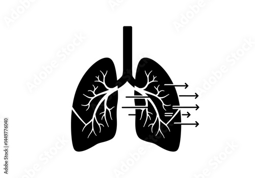 Human Lungs Anatomy Illustration, Respiratory System Diagram