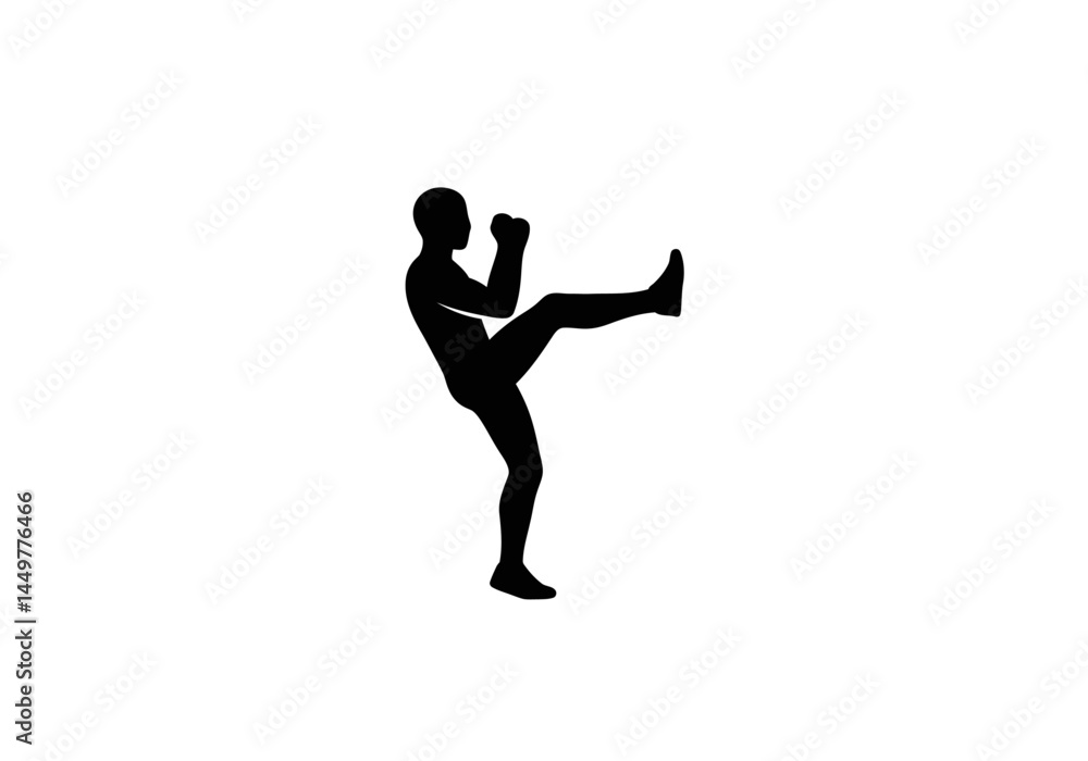 Powerful Silhouette of a Martial Artist Executing a High Kick Powerful Silhouette of a Martial Artist Executing a High Kick