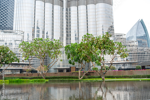 Canvas Print Trees and modern glass buildings reflecting in calm water in downtown Dubai