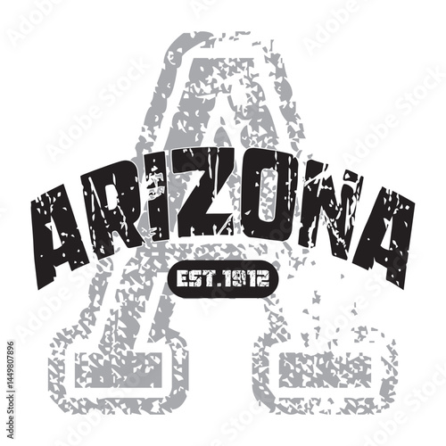 Vintage varsity college typography united states of america arizona slogan text print with grunge texture for graphic tee t shirt or sweatshirt hoodie or sticker poster - Vector