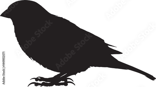 African Quailfinch silhouette. Represents small birds, nature, and African wildlife.