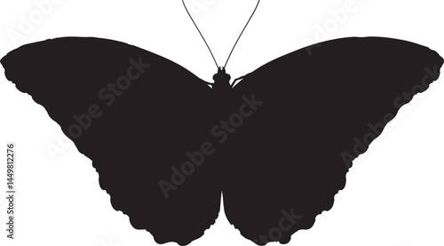 Black butterfly silhouette. Represents nature, transformation, and delicate beauty.
