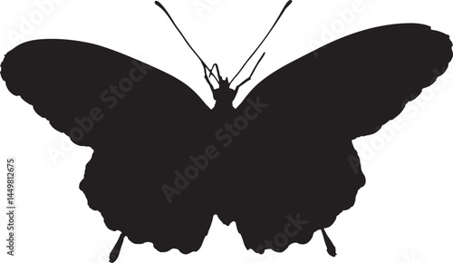 Birdwing butterfly silhouette. Large, vibrant butterfly representing nature and beauty.