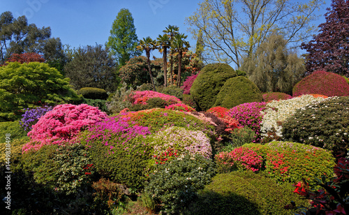 Riot in the Rock Garden at Leonardslee Gardens Horsham Sussex UK