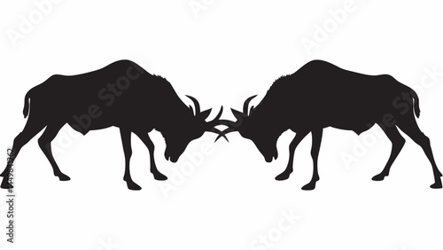Two wildebeest locking horns in intense standoff a powerful black silhouette against white background wildlife battle