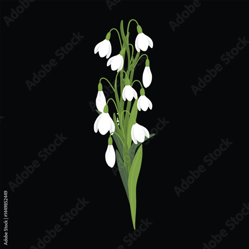Realistic snowdrop flower