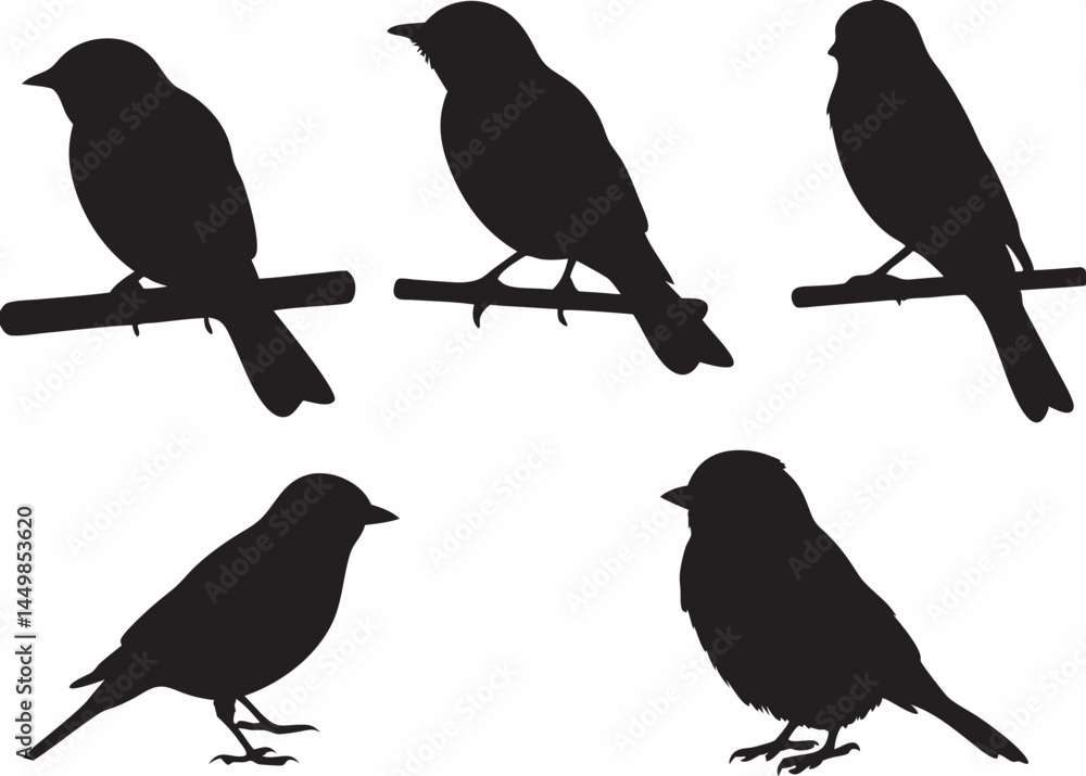 custom made wallpaper toronto digitalFive striking black bird silhouettes perched on branches a minimalist graphic design in stark contrast against a white