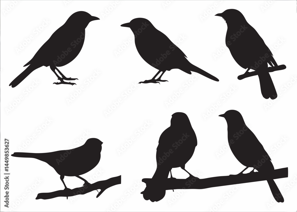 custom made wallpaper toronto digitalElegant bird silhouettes perched and in flight a minimalist black and white design against a clean white background