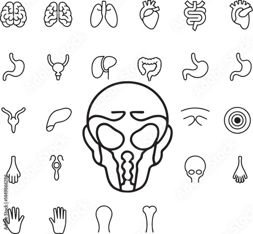 Human Anatomy Icons - Organs and Body Parts.eps