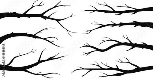 Silhouetted Tree Branches in a High Contrast Monochrome Style Featuring Sharp Outlines, Negative Space, and Intricate Natural Forms for Abstract Artwork

