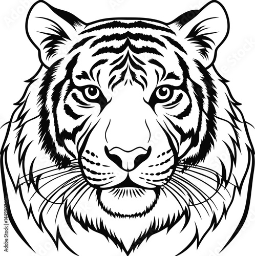 Tiger Portrait. Black and White Illustration of a Majestic Predator