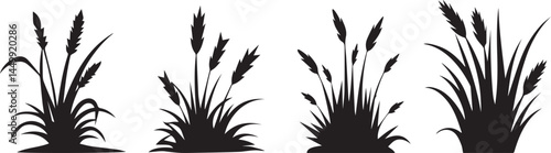 Wild Grass and Cattail Vector Silhouettes – Decorative Botanical Elements for Wetland, Garden, and Nature Scenes