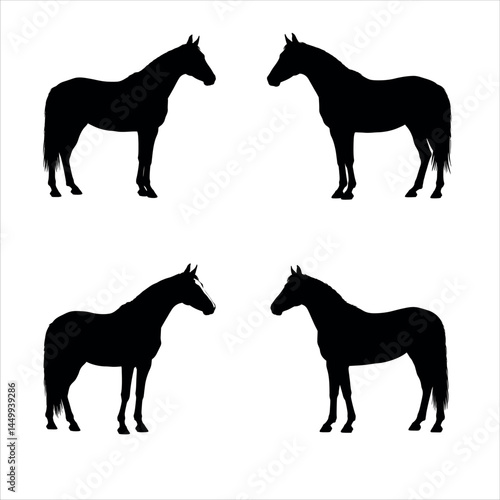 Four horse equine animal mammal silhouette vector graphic