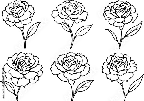 Set of carnation flower plant outline vector illustration coloring book page design