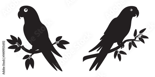 Parrots Silhouette Vector - Tropical Bird Illustration for Designs