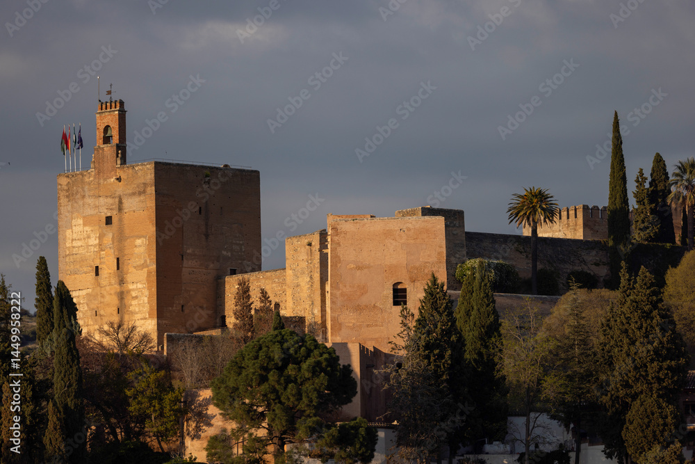 Fototapeta premium Alcazaba de Alhambra, Andalusia, Spain