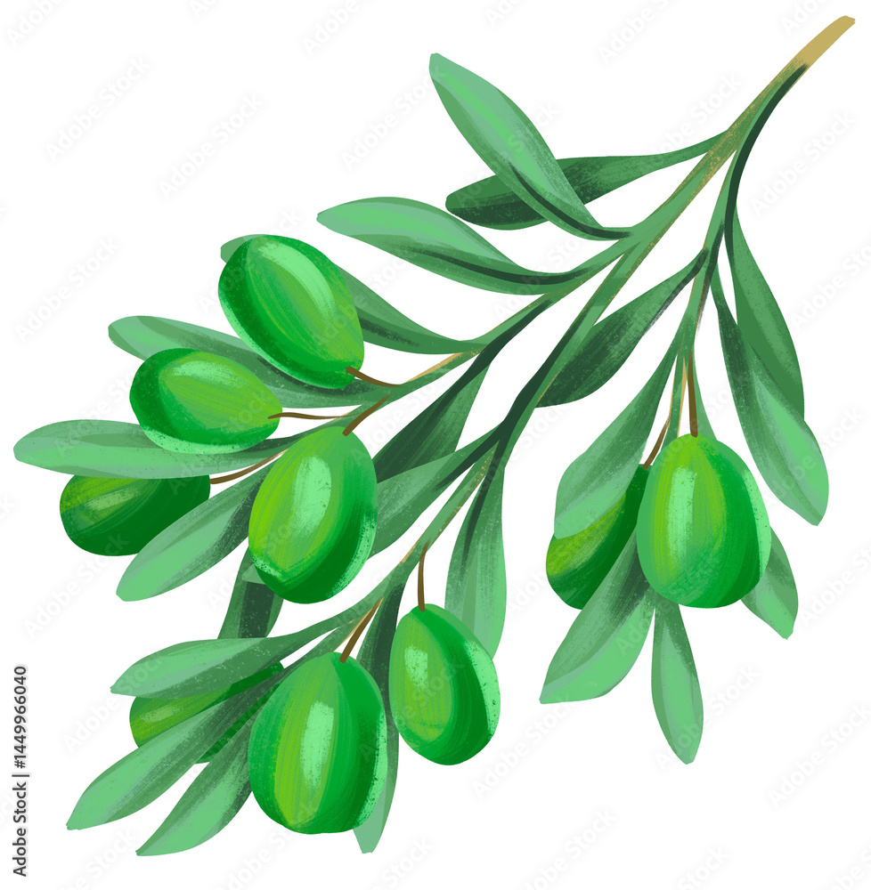 Naklejka premium Green Olive Branch Illustration