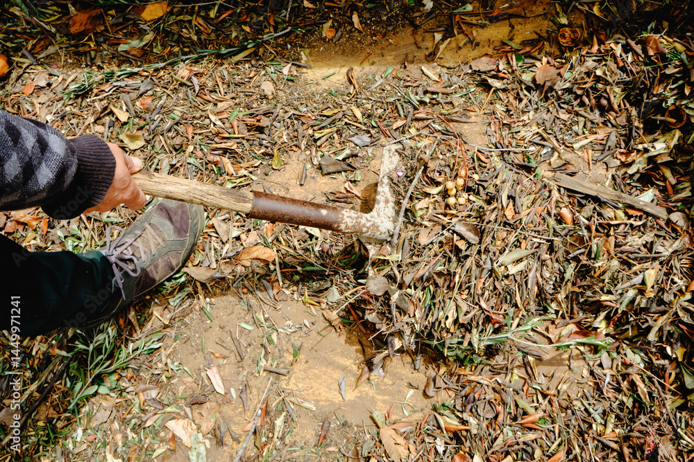 man using a shovel to take out some plant remains