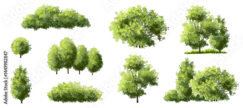  Vector watercolor green  tree or forest side view isolated on white background for landscape and architecture drawing,elements for environment or and garden,Shrub for section