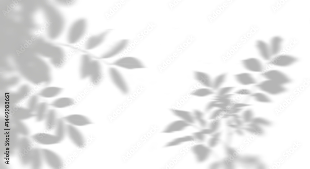 Fototapeta premium Abstract natural tree leaves silhouette shadows on transparent background png