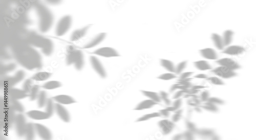 Abstract natural tree leaves silhouette shadows on transparent background png