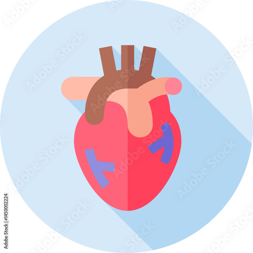 vascular illustration on a white background 
