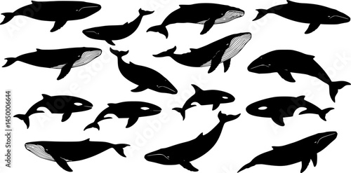 Whale silhouettes set, pack of vector silhouette design, isolated background
