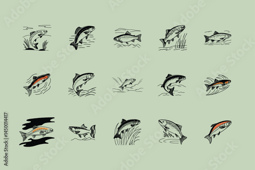 salmon fish design, labeled vector silhouette illustration.