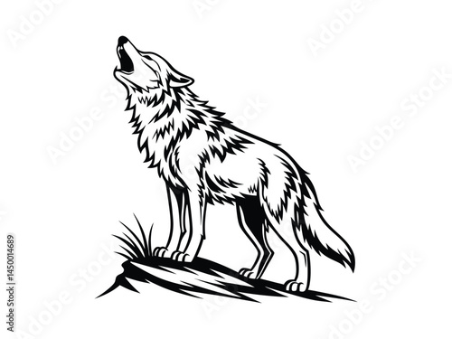wolf head vector illustration