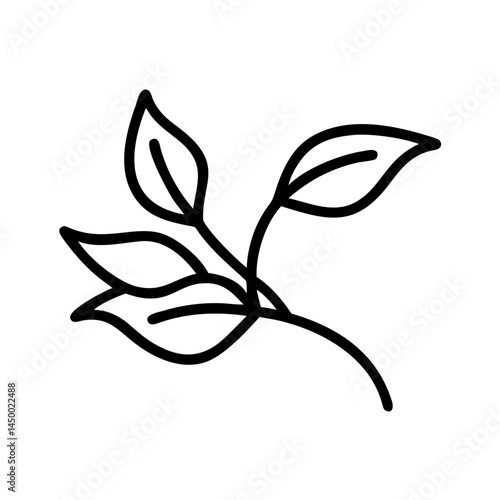 tea leaves branch on transparent background for web and graphic design