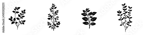 Various herb silhouettes against a plain background showcasing natural beauty and simplicity in design