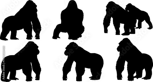 set of gorilla silhouette - vector illustration