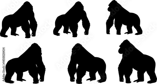 set of gorilla silhouette - vector illustration