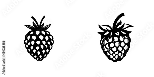 Creative black and white illustration of two raspberry designs showcasing unique styles and details