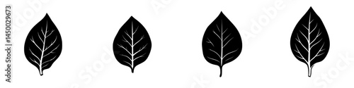 Decorative black and white leaf illustrations for design projects showcasing nature's simplicity and elegance