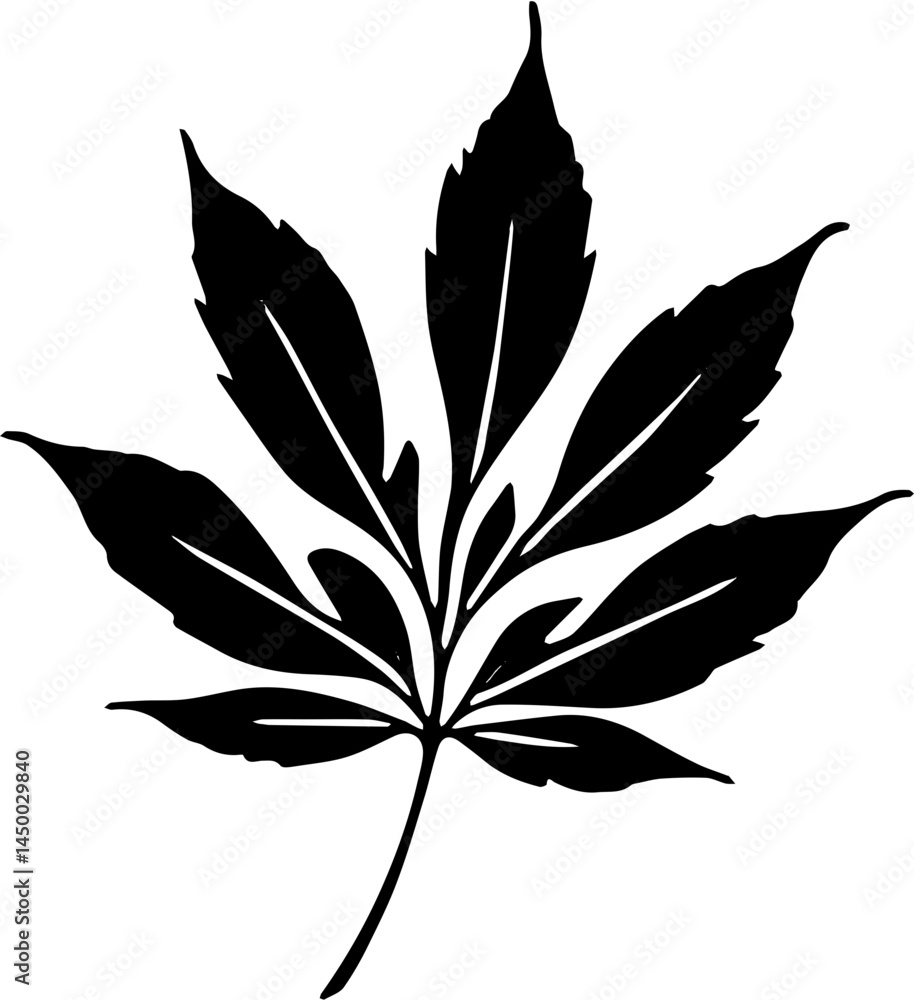 Obraz premium black silhouette of a leaf