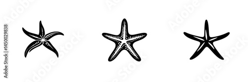 Unique starfish illustrations showcasing different patterns and styles on a white background