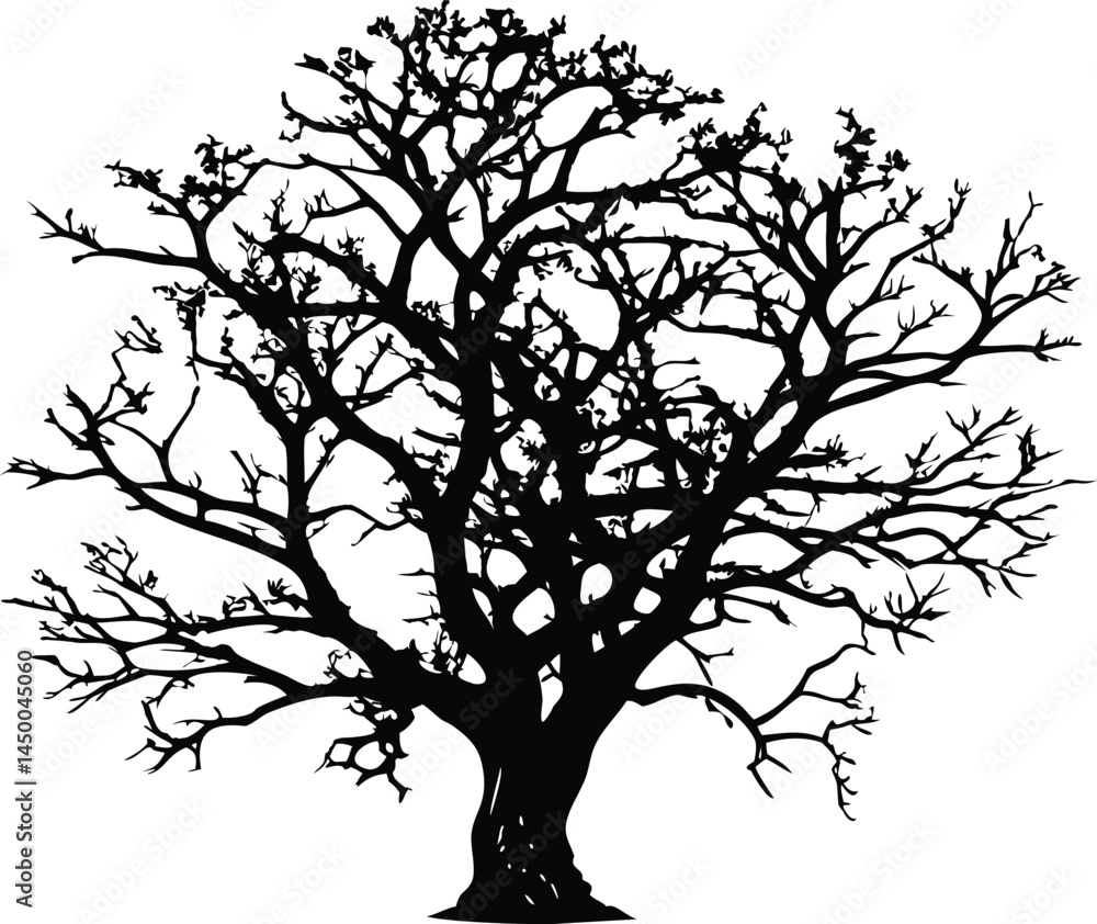 Fototapeta premium Intricate Bare Tree Silhouette | High Contrast Black and White Illustration