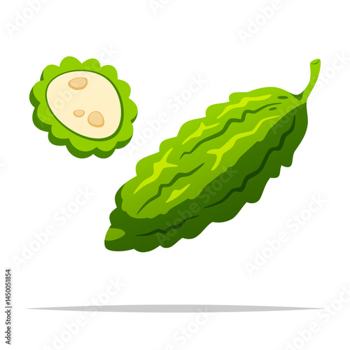 Bitter gourd vegetable vector isolated illustration