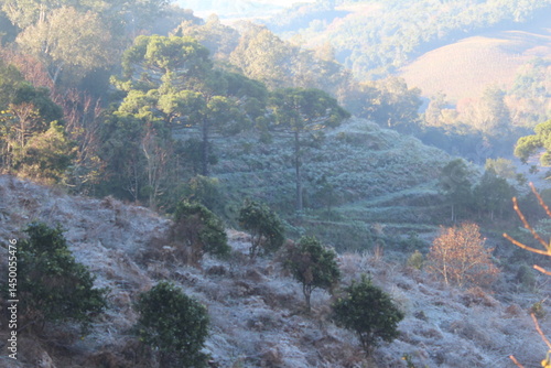 paisagem de amanhecer com geada na serra gaúcha. foto tirada no roteiro caminhos de pedra, bento gonçalves, rio grande do sul 