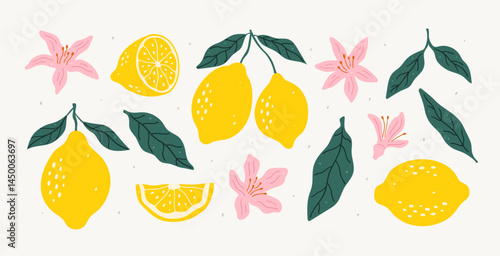 Hand-drawn set of lemon illustrations. Summer tropical citrus fruit