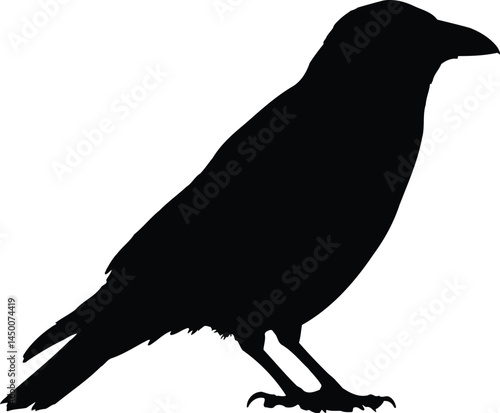 Crow Silhouette EPS Vector File, Black Bird Graphic for Nature and Gothic Designs, Perfect for Logos, Decor, and Halloween Art