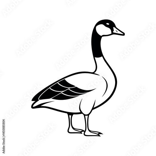 Canada Goose Outline Vector Drawing